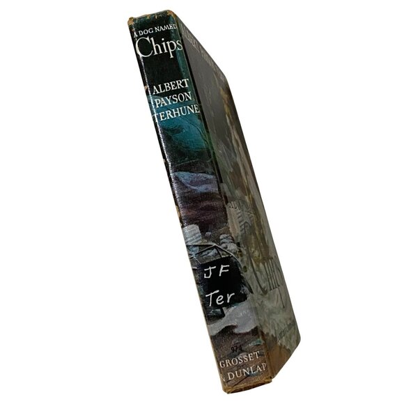 A Dog Named Chips The Life and Adventures of a Mongrel Scamp HC Book Terhune - Picture 3 of 8